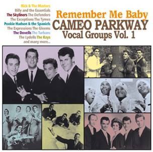 V.A. - Remember My Baby :Cameo Parkway Vocal Groups Vol 1